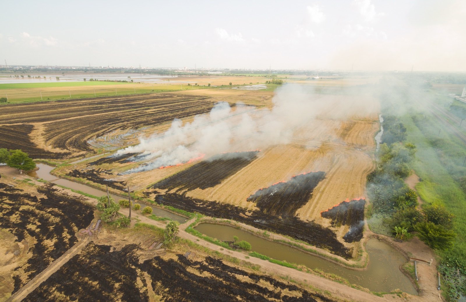 Before: an aerial view of harvested rice paddies with crop residue burning, smoke drifting across the fields