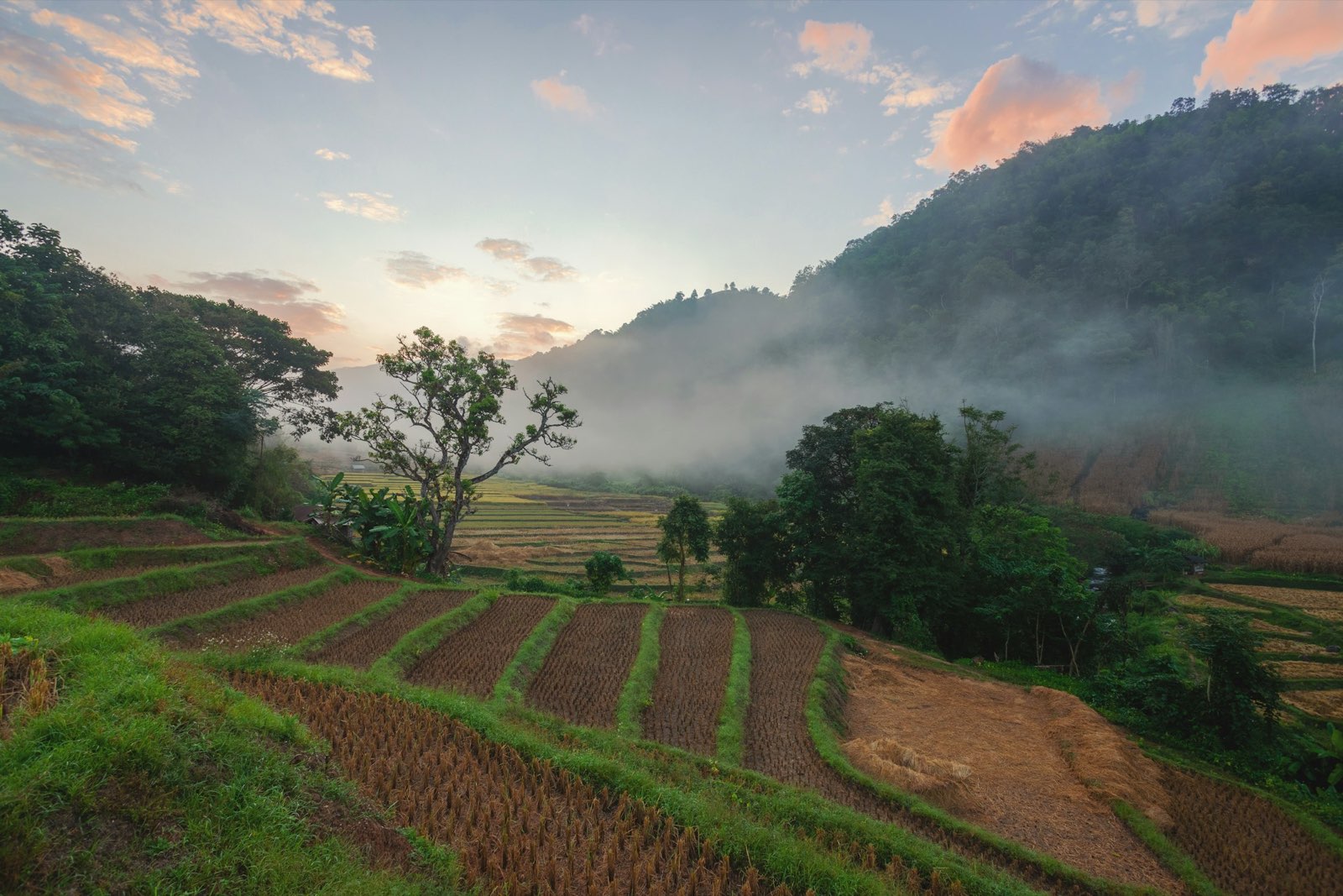 Sunrise over mist-filled valley and terraced rice fields in the mountains of northern Thailand