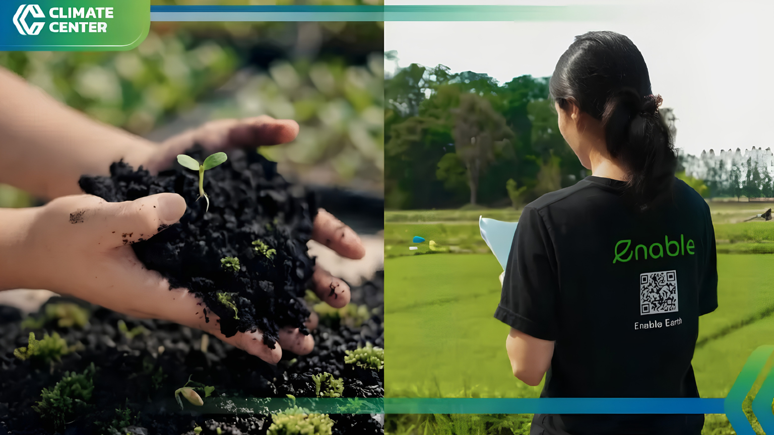 Biochar and young plant growth illustrating soil health and nutrient efficiency in Thailand