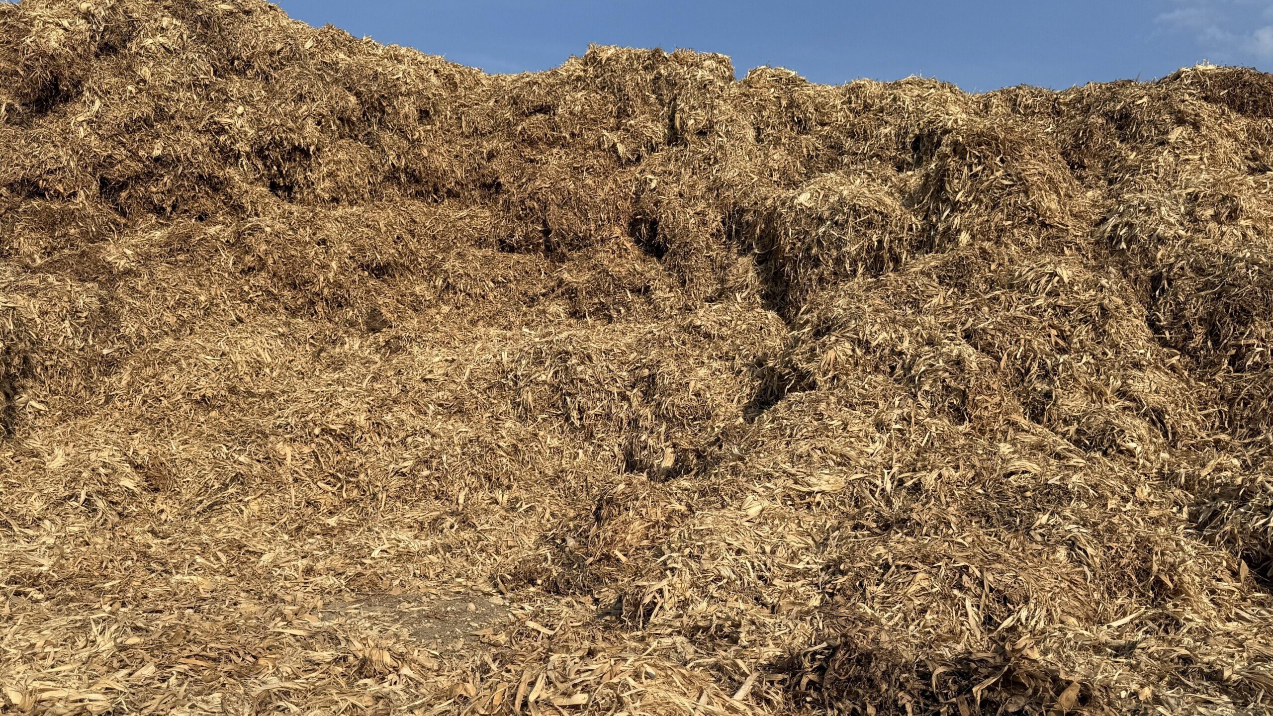 Enable Earth's pyrolysis facility set against northern Thailand farmland, where biomass residues become renewable carbon
