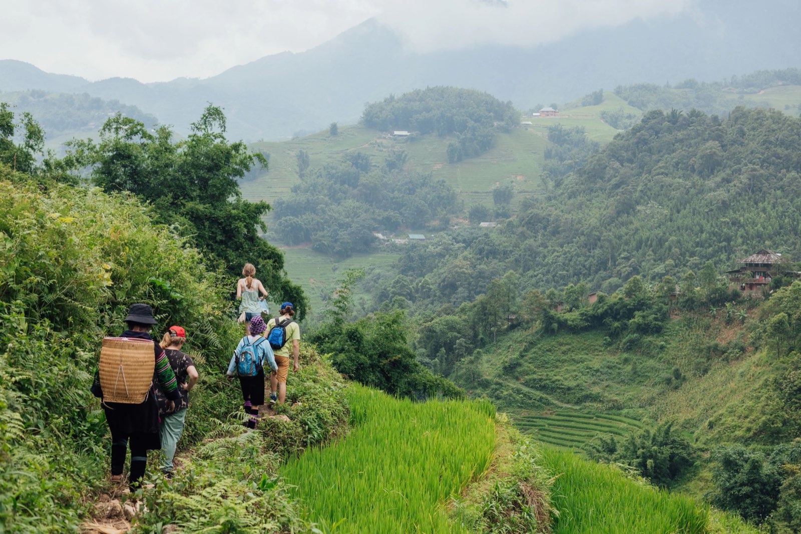 A path winding through misty green rice terraces, the farmland the biochar returns to
